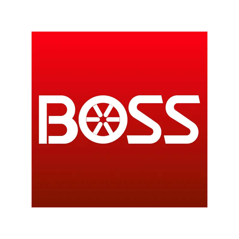 BOSS Snowplow