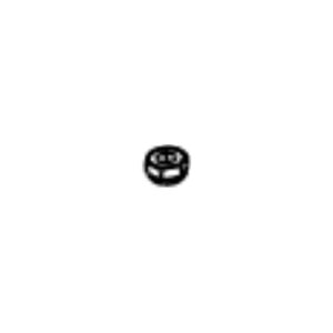 Buyers FNE010024024SS - SST Elastic Stop Nut (10-24)