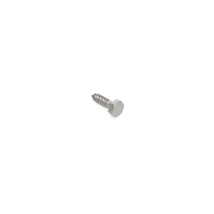 BOSS HDW18316 - SST Grade 18-8 Screw Lag (5/16 x 1'')