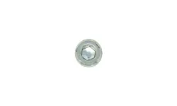 BOSS HYD01712 - 3/8'' NPT Magnetic Drain Plug