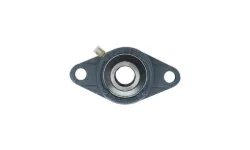 BOSS TGS15532 - 2-Bolt Flange Bearing (3/4'' ID)