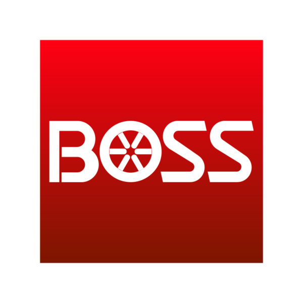 BOSS Snowplow