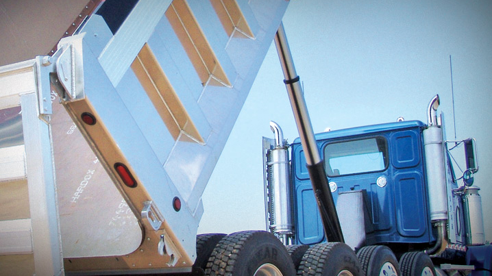 Champion Single-Telescopic Hoist